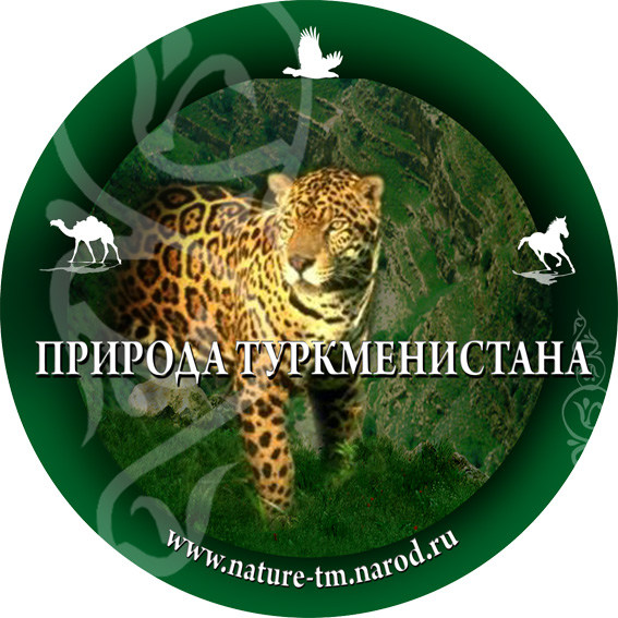 Природа Туркменистана